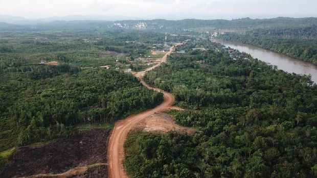 Mengintip Perjuangan Bangun Jalan Perbatasan di Kalimantan Pemerintah membangun jalan perbatasan negara di Kalimantan Timur dan Kalimantan Utara. Jalan tersebut dibangun meliuk tembus hutan lebat, yuk intip proyeknya.