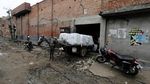 Ekonomi Goyah, Kawasan Industri Tekstil di India Gulung Tikar
