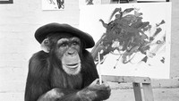 Seekor kera bernama Congo berpose disebelah hasil karya lukisnya. Gaya Congo di kamera layaknya seniman terkenal dunia Pablo Picasso. Mirrorpix/Mirrorpix via Getty Images.
