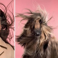 Kali ini Gerrard mencoba mengabadikan kemiripan anjing dan pemiliknya dalam seri foto kocak tapi juga manis. Proyek pameran ini ia beri titel, Do You Look Like Your Dog, yang akan dirilis pada 10 September 2018. Foto: Dok. Gerrard Gethings