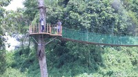 Kawasannya yang hijau dan sejuk jadi favorit wisatawan di akhir pekan. (Wisma Putra/detikTravel)