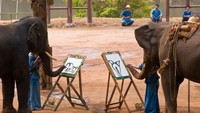 Dua ekor gajah terlihat sedang melukis di Pusat Konservasi Gajah di Taman Nasional Gajah, Thailand. Blaine Harriongton III/Getty Images.