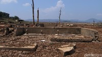 Batang-batang pohon tak berdaun masih menancap di waduk yang sudah mengering. Bahkan jalan aspal yang ada di bekas perkampungan itu masih utuh. (Wisma Putra/detikTravel)