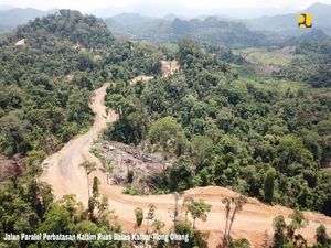 Ada Hutan Industri di Lokasi Ibu Kota Baru RI