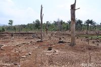 'Kota Mati' di Waduk Jatigede Sumedang