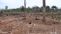Bila Anda tertarik datang berwisata ke sini, jangan lupa mengenakan pelindung kepala, seperti topi atau payung. (Wisma Putra/detikTravel)