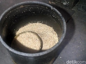 Harga Kedelai Naik Jadi Rp 790 Ribu/Kwintal, Karena Dolar AS Tinggi?