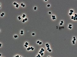 Fakta Unik Bumi dan Alam Semesta yang Mencengangkan
