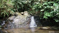 Aliran airnya segar. Tak jarang traveler juga mandi-mandi dan main air di sungai ini (Dadang/detikTravel)