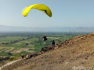 Di Ponorogo, Liga Paralayang Digelar di Bukit Gede