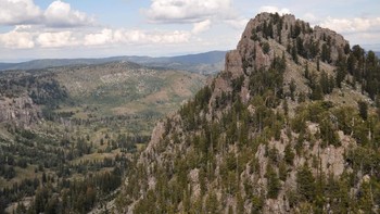 Ada lebih dari 3 triliun pohon di dunia, tapi tiap tahunnya manusia menebang habis 15 miliar pohon. (Foto: NASA)