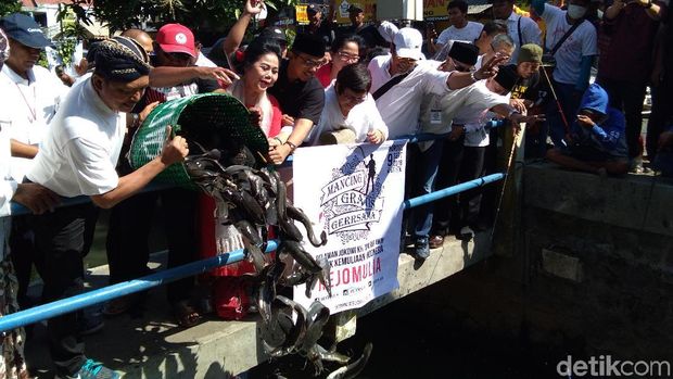 Relawan Jokowi ke Pengritik Pelepasan 10 Ton Lele: LSM Nggak Gaul