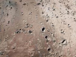 Fakta Unik Bumi dan Alam Semesta yang Mencengangkan