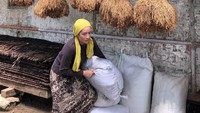Shinta yang pernah berakting dalam film Suster Keramas, Mati Muda di Pelukan Janda hingga Kawin Kontrak ini terlihat sibuk mengangkut padi. Alhamdulillah musim panen, hahahaha katanya. Foto: instagram @shintabachir86_real