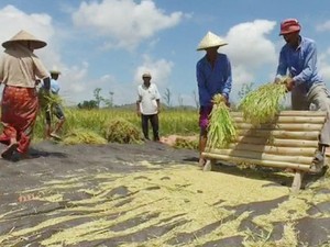 Kementan: Data BPS Sebut Penduduk Miskin Desa Turun