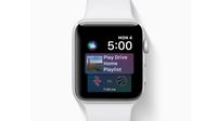 Apple Watch Seri 4