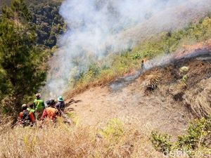 Gunung Wilis Terbakar, 25 Hektare Hamparan Ilalang Dilalap Api