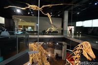 Museum di Melbourne (Shinta/detikTravel)