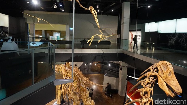 Melbourne Museum (Shinta/detikTravel) Melbourne Museum (Shinta/detikTravel)