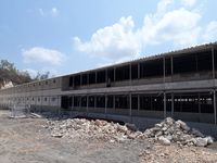 Pembangunan perternakan Ayam di Geopark Gunung Sewu (Istimewa/Cahyo)