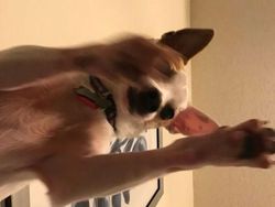 Foto Misterius yang Ditemukan Orang di Ponselnya