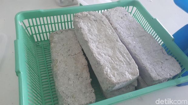 Batu bata cangkang simping