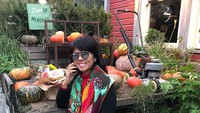 Fifi berpose manis di depan gerobak berisi banyak labu. Wah labunya bisa dimasak itu. Foto: instagram @fifiletytjahajapurnama