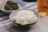 Nasi Putih Justru Bisa Stabilkan Gula Darah dan Sehatkan Pencernaan