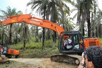 Pemerintah Kucurkan Dana Rp 22 M untuk Peremajaan Sawit di Jambi
