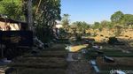 Penampakan Panggung Dangdut Mepet Kuburan di Jaktim yang Viral