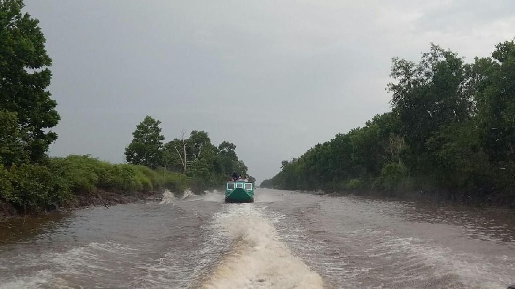 Terp encilnya Lalan Sumsel, Sarang Buaya hingga Pembuangan Mayat Terpencilnya Lalan Sumsel, Sarang Buaya hingga Pembuangan Mayat