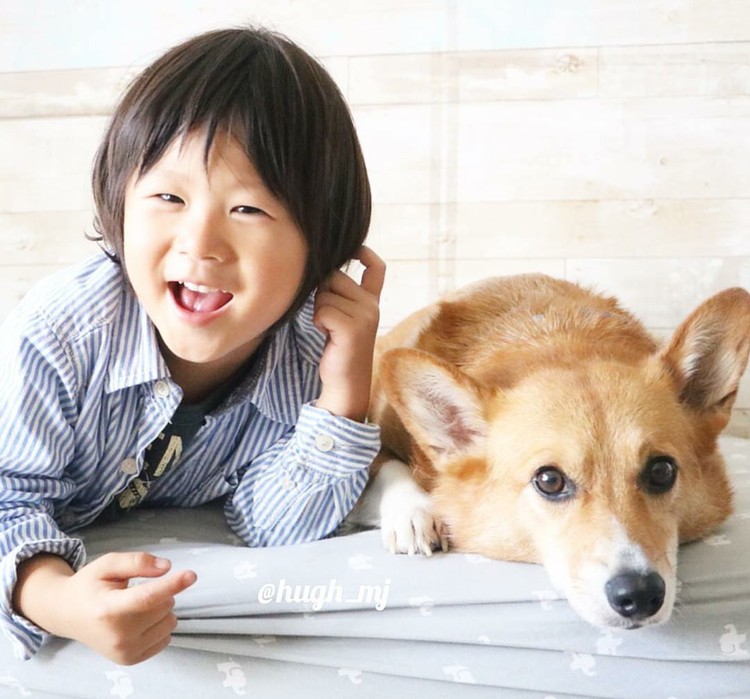 Tingkah Menggemaskan si Kecil dengan Anjing Peliharaannya