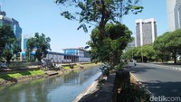 Foto: Kondisi berbeda terlihat di aliran Sungai Ciliwung dekat Stasiun Karet. Di lokasi ini, sampah yang mengambang tak sebanyak di aliran Ciliwung di Kampung Jati Pulo. (Nur Azizah/detikcom).