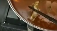 Hii..! Wanita Hamil Ini Temukan Tikus Mati di Dalam Supnya