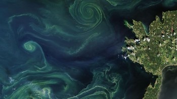 Ini adalah pemandangan dari Laut Baltik di Finlandia. Fitoplankton yang ada di sana menyebar dan membentuk pemandangan mirip aurora. Foto: NASA