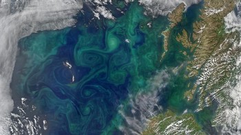 Fitoplankton kembali memunculkan aurora di bawah laut, yang kali ini tampak di sebelah utara dan barat Irlandia serta Skotlandia. Foto: NASA