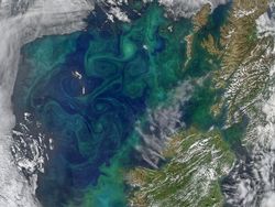 Indahnya Aurora Bawah Laut dari Luar Angkasa