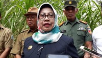 Bupati Gunungkidul, Badingah mengakui pembangunan peternakan ayam di Geopark Gunung Sewu belum memiliki izin dokumen Analisis Dampak Lingkungan (Amdal). Tapi menurutnya, lokasi pembangunan peternakan ayam  PT Widodo Makmur Unggas tidak menyalahi aturan. Sebab, Pacarejo telah ditetapkan sebagai tempat yang diperbolehkan untuk usaha peternakan ayam (Usman hadi/detikTravel)