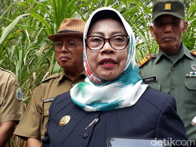 NasDem: Bupati Gunungkidul Tolak Masuk Timses, Tetap Dukung Jokowi NasDem: Bupati Gunungkidul Tolak Masuk Timses, Tetap Dukung Jokowi