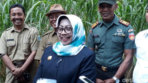 Peternakan Ayam di Geopark Gunung Sewu Belum Miliki Izin