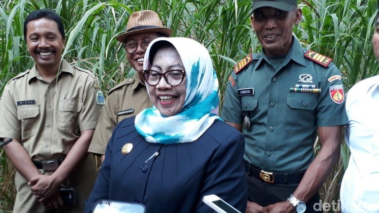 Sepak Terjang Bupati Gunungkidul yang Tercatat Jadi Kader di 2 Parpol Sepak Terjang Bupati Gunungkidul yang Tercatat Jadi Kader di 2 Parpol