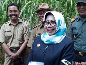 Sepak Terjang Bupati Gunungkidul yang Tercatat Jadi Kader di 2 Parpol