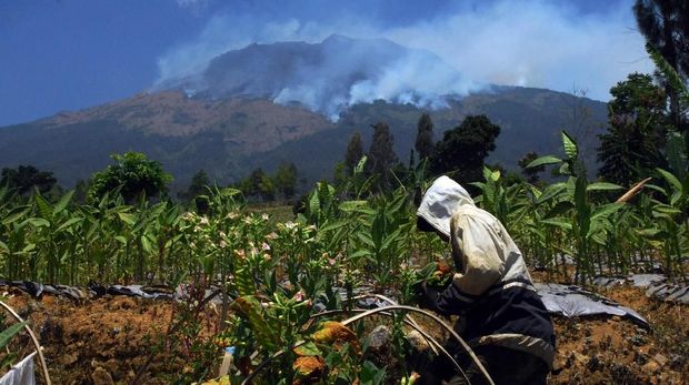 Kebakaran hutan Gunung Sumbing, dilihat dari Desa Pagergunung, Bulu, Temanggung, Jawa Tengah, Selasa (11/9).