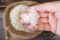 Nasi Putih Justru Bisa Stabilkan Gula Darah dan Sehatkan Pencernaan