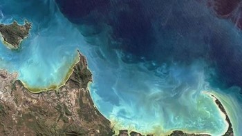 Australia juga punya pemandangan serupa di tepi lautnya. Di sana, fenomena tersebut disebabkan meledaknya jumlah Trichodesmium, sejenis bakteri. Foto: NASA