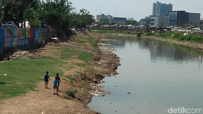 Potret Kali Ciliwung yang Diharap Jokowi Seperti Sungai di Seoul