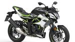 Kawasaki Ninja 125cc Nih...