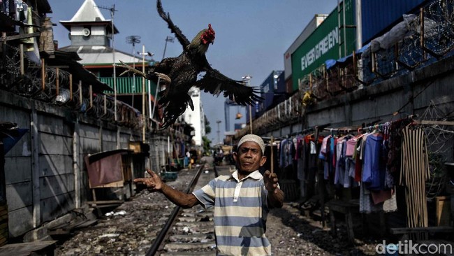 Pengumuman! Tahun Depan Keluarga Miskin Bisa Dapat Bantuan Rp 10 Juta