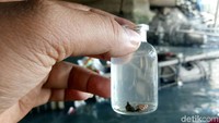 Koin dihargai mahal oleh para kolektor barang antik. 