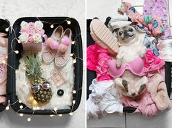 Kenyataan di Balik Pencitraan Foto Keren di Instagram